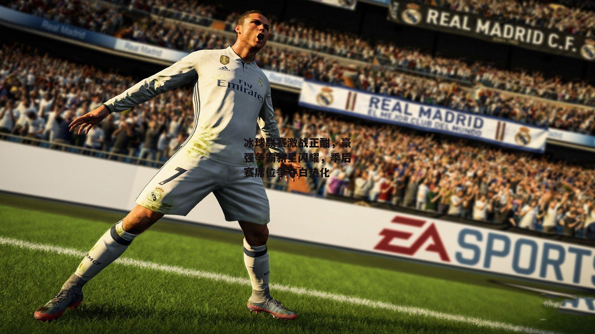 冰球联赛激战正酣，豪强争霸新星闪耀，季后赛席位争夺白热化