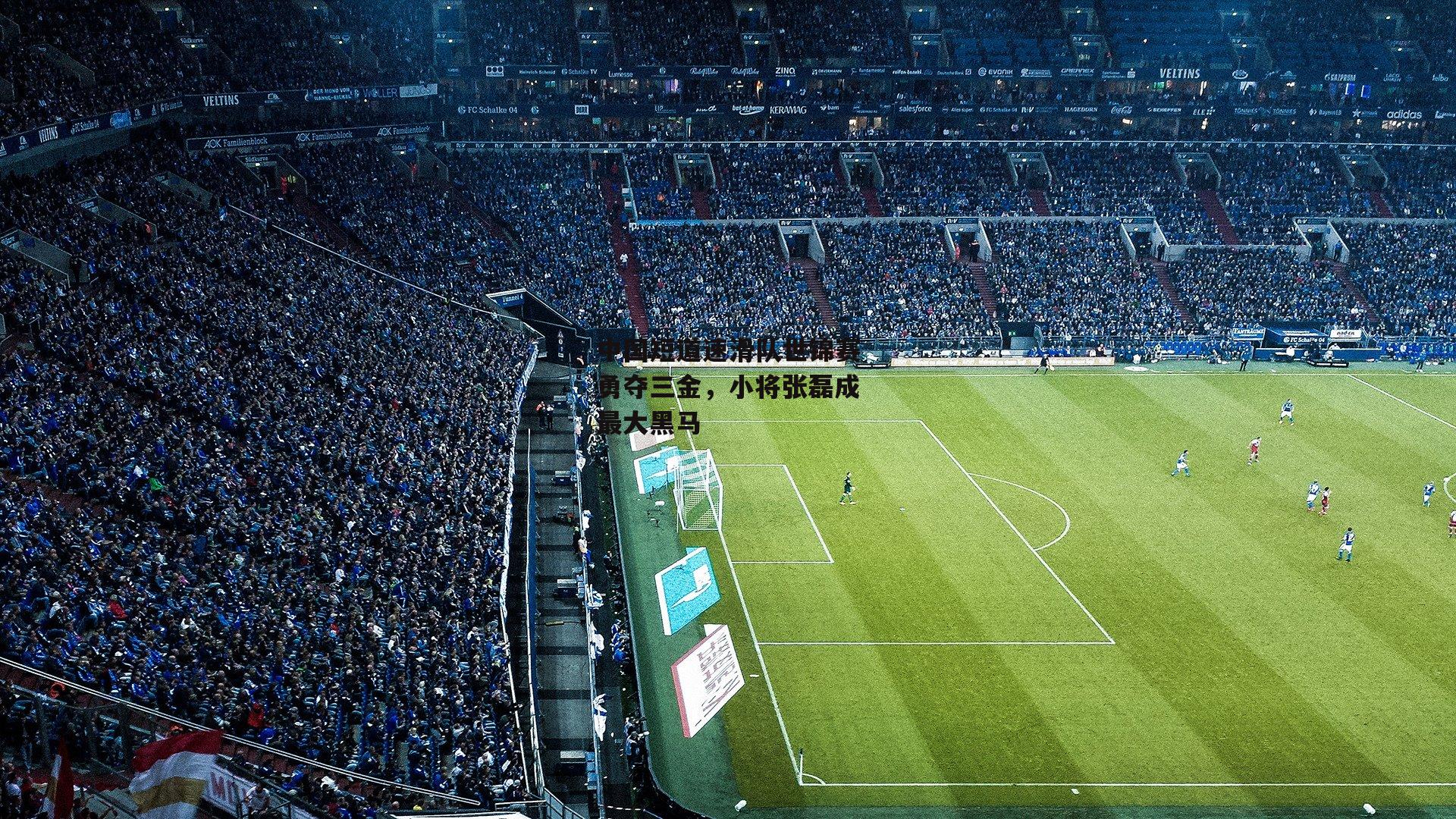 中国短道速滑队世锦赛勇夺三金，小将张磊成最大黑马